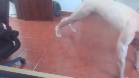 Snapshot of peter_coat chatting on 07-01-26, 12:40 peter_coat online show from 07-01-26, 12:40