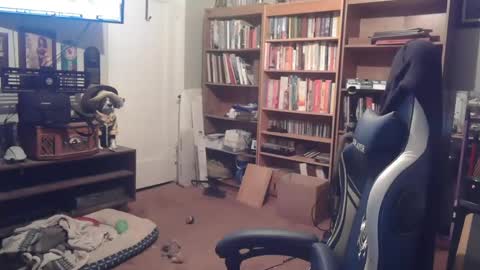 peterinohio57 online show from 10-22-25, 11:43