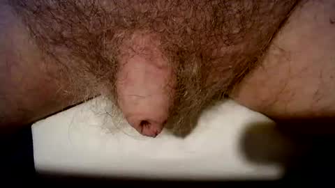 peterpeteropoulos online show from 10-21-25, 06:41