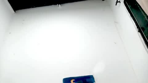 Snapshot of petiteivoryqueen chatting on 11-26-25, 04:57 danna online show from 11-26-25, 04:57