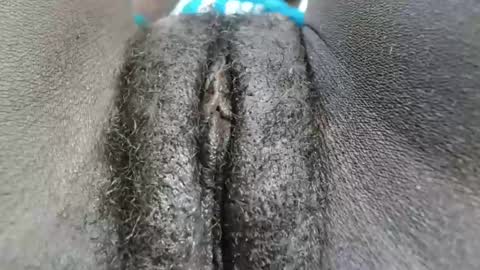 petiteme1 online show from 01-18-25, 02:03