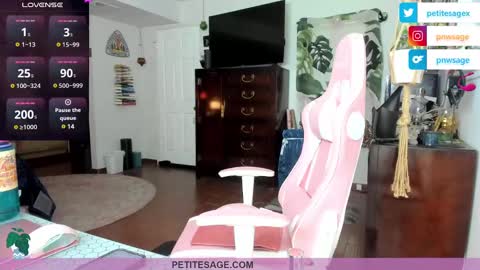 Snapshot of petitesage chatting on 12-25-24, 11:53 petitesage online show from 12-25-24, 11:53