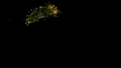  J A S S  online show from 01-01-25, 04:18