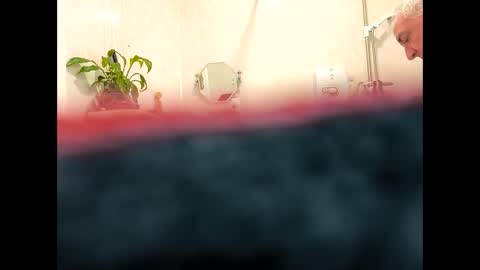 petrol63102 online show from 02-19-26, 09:38