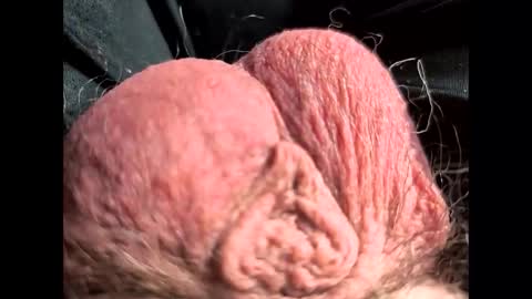 petrol63102 online show from 02-22-26, 01:09