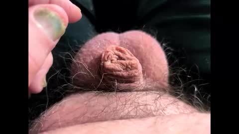 petrol63102 online show from 03-07-26, 05:21