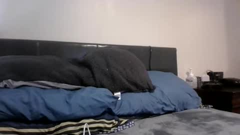 phantomfreakbbc online show from 02-10-26, 04:38