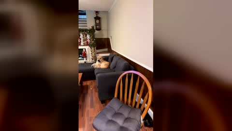 PhatAssBlond online show from 12-15-25, 03:05