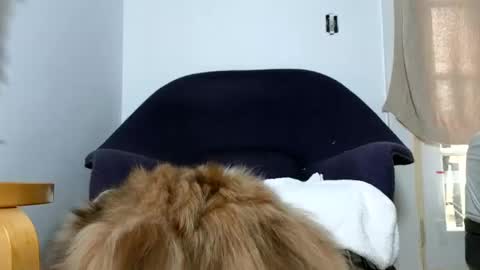 TheSkyeWoods online show from 12-09-24, 05:52