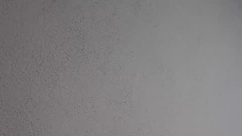 PatriceMakayla CD online show from 06-15-26, 07:05