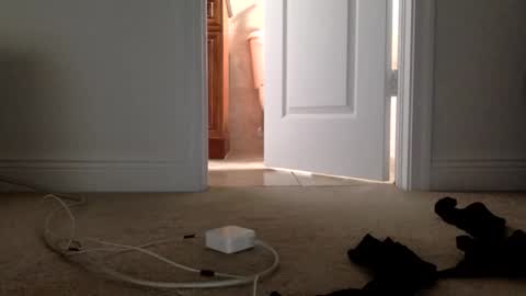 Its always better when its forbidden online show from 04-01-26, 04:48