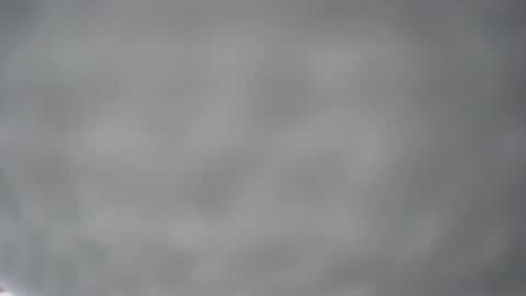 pichard18 online show from 12-13-24, 05:16