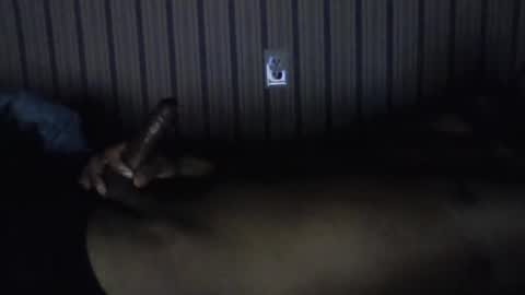 Snapshot of pierce2094 chatting on 11-01-25, 08:27 pierce online show from 11-01-25, 08:27