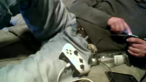 Snapshot of pierke34 chatting on 01-09-26, 12:57 Pierke online show from 01-09-26, 12:57