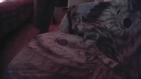 pierre1705 online show from 05-14-26, 03:35