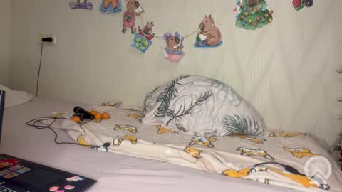 Snapshot of pink_pikachu_ chatting on 02-19-26, 10:06 Pikachu pika online show from 02-19-26, 10:06