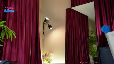 Alice   online show from 12-13-24, 02:16