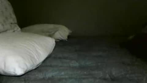 pinkifyme63 online show from 05-08-26, 01:22