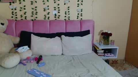 Snapshot of pinkysmiles chatting on 03-24-26, 01:21 Pinky online show from 03-24-26, 01:21