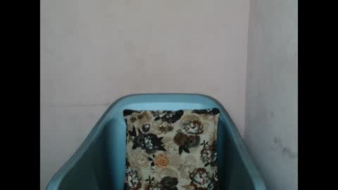 pinkyxxpussy online show from 02-08-26, 11:19