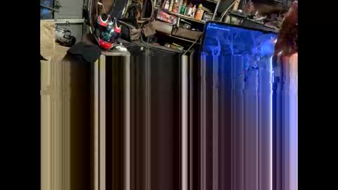 FuckUpayMe online show from 02-09-26, 07:23