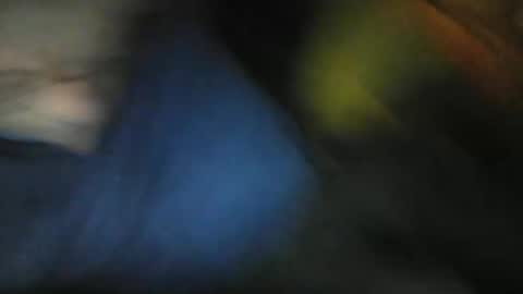 pipi2704 online show from 01-25-25, 01:43