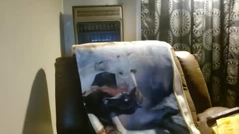 Snapshot of pirate334 chatting on 03-24-26, 03:55 pirate334 online show from 03-24-26, 03:55