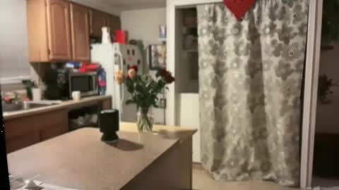 pirdybirdyxo online show from 01-30-25, 04:06