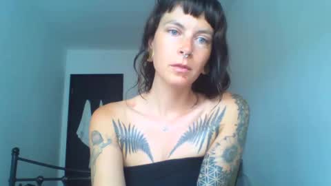 Snapshot of pixiecatfairy chatting on 09-17-25, 09:44 pixiecatfairy online show from 09-17-25, 09:44