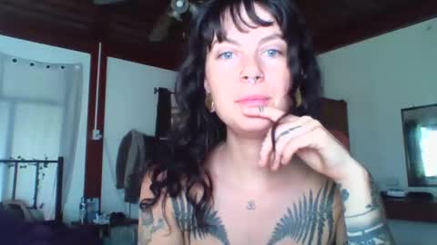 Snapshot of pixiecatfairy chatting on 11-16-25, 02:17 pixiecatfairy online show from 11-16-25, 02:17