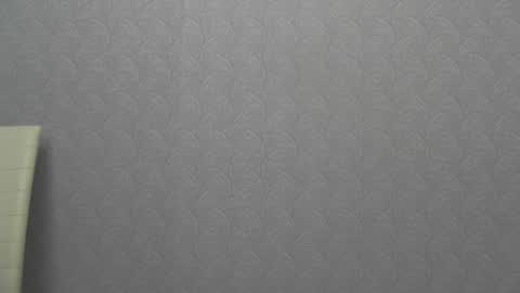 Snapshot of playful_goldie chatting on 01-05-25, 02:52 Goldie online show from 01-05-25, 02:52