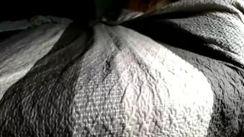 Snapshot of playswithbutt chatting on 02-16-26, 05:47 playswithbutt online show from 02-16-26, 05:47