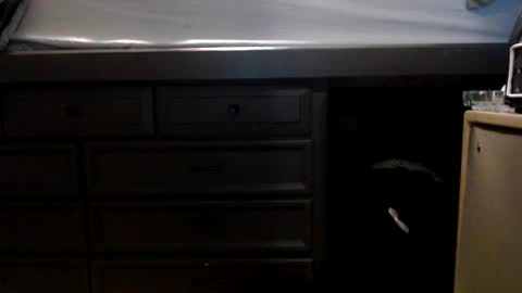 pleasantdinosaurus7537 online show from 11-17-25, 01:00