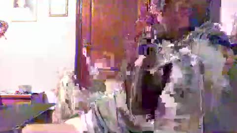 Snapshot of plu07f3520 chatting on 04-09-26, 12:43 plu07f3520 online show from 04-09-26, 12:43