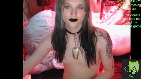 plushcatboy online show from 04-21-26, 04:08