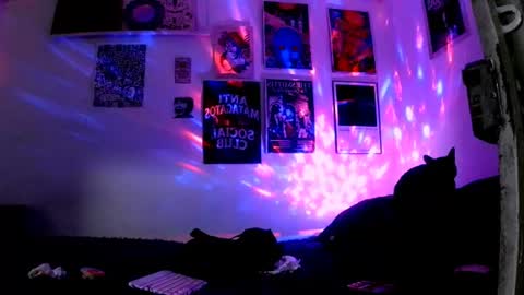 Snapshot of plutonbluemoon_999 chatting on 06-30-26, 11:50 online show from 06-30-26, 11:50