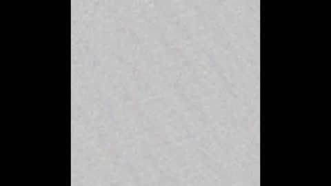 Polly online show from 10-16-25, 07:53