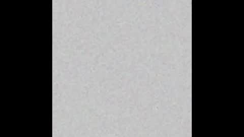 Polly online show from 02-25-26, 08:35