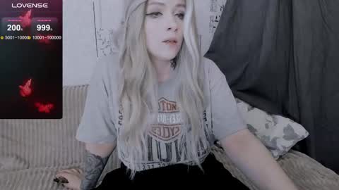 Snapshot of polly_wow chatting on 05-22-26, 11:16 Polly online show from 05-22-26, 11:16