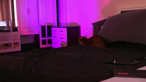 Megan.online  online show from 09-17-25, 01:02