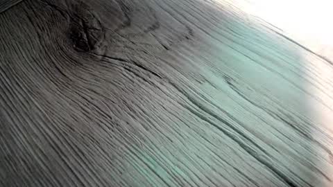 Snapshot of poorsaddest2 chatting on 09-15-25, 08:03 poorsaddest2 online show from 09-15-25, 08:03