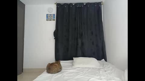 porcelainlux online show from 03-16-26, 01:22