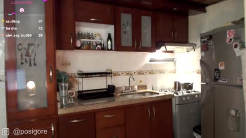 Snapshot of posigore chatting on 01-03-25, 10:19 Anna Goth independient model online show from 01-03-25, 10:19