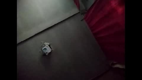 Potro770723 online show from 11-20-25, 10:15