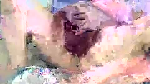 dikud0wn online show from 09-14-25, 02:22