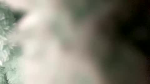 Snapshot of pretty_boy_jack chatting on 12-20-24, 04:31 pretty_boy_jack online show from 12-20-24, 04:31