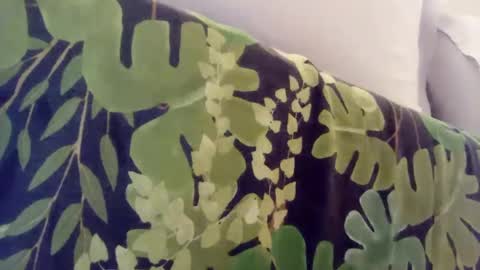 Snapshot of pretty_boy_jack chatting on 01-08-25, 01:00 pretty_boy_jack online show from 01-08-25, 01:00