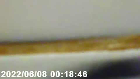 Snapshot of pretty_boy_jack chatting on 02-12-25, 02:56 pretty_boy_jack online show from 02-12-25, 02:56