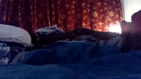 Snapshot of pretty_boy_jack chatting on 02-25-25, 06:03 pretty_boy_jack online show from 02-25-25, 06:03