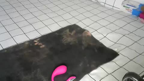 Pretty doll online show from 12-22-25, 09:39